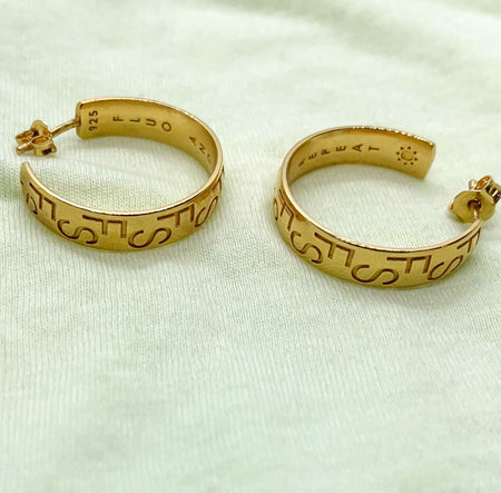FS on repeat hoops/ GOLD or SILVER